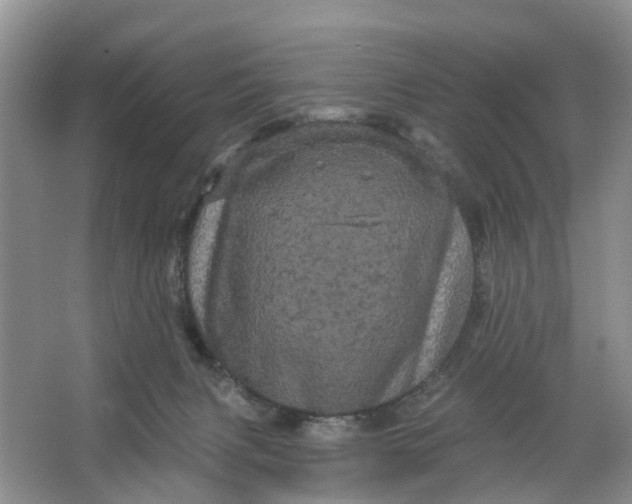 X0000066120079200603241621