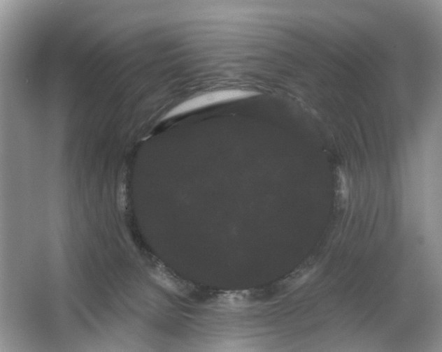 X0000066120080200603241621