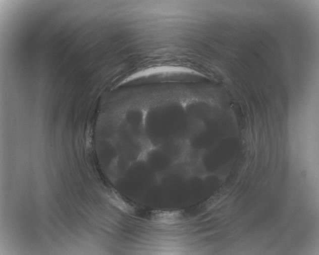 X0000066120081200603241621