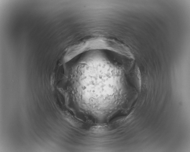 X0000066120082200603241621