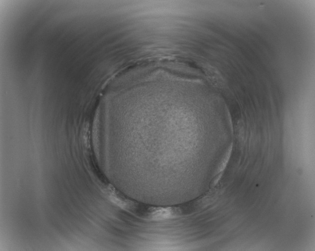 X0000066120083200603241621