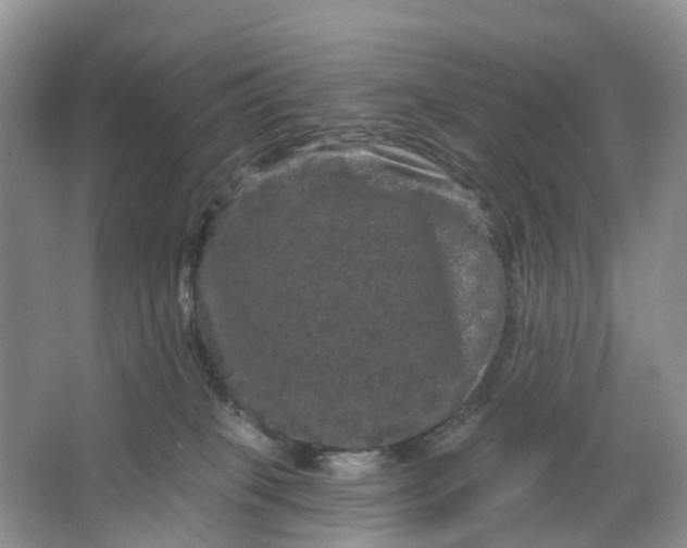 X0000066120085200603241621