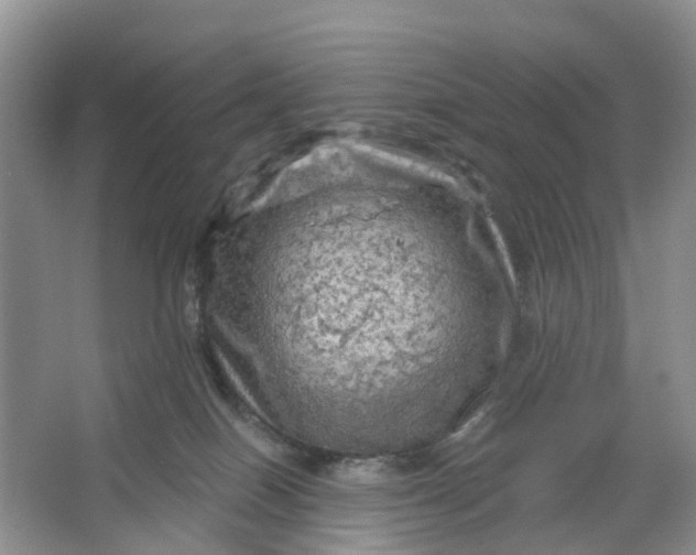 X0000066120086200603241621