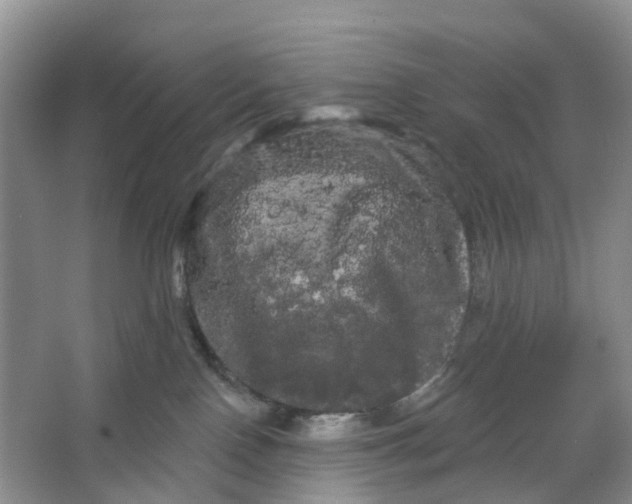 X0000066120090200603241621