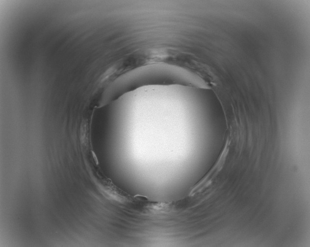 X0000066120092200603241621