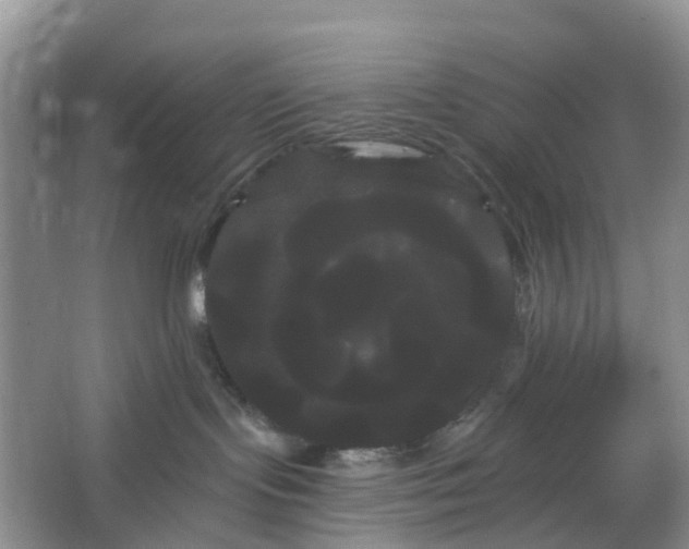 X0000066120095200603241621