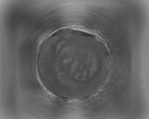 X0000066120097200603241621