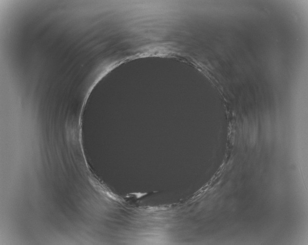 X0000066120100200603241620