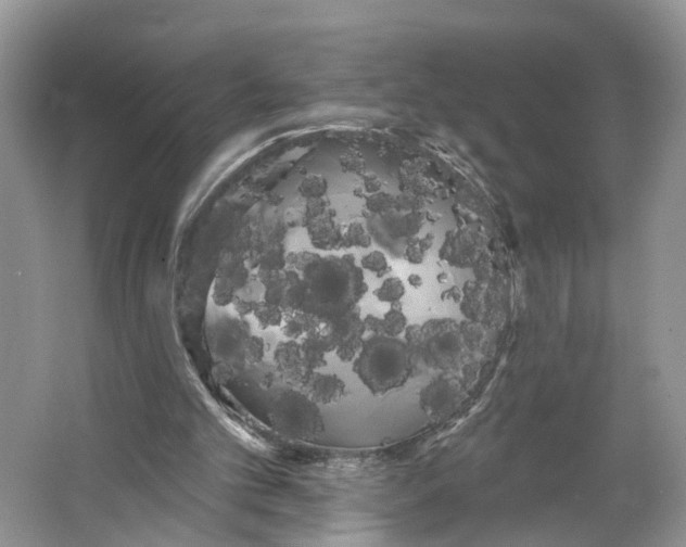 X0000066120101200603241620