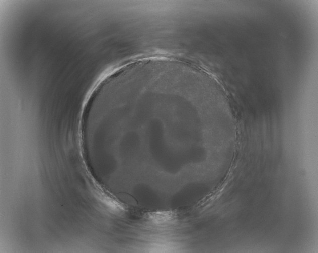 X0000066120102200603241620