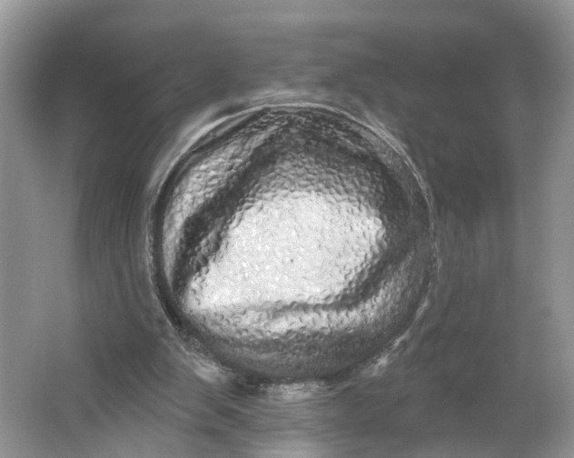 X0000066120103200603241620