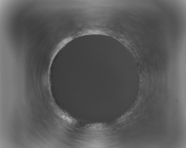 X0000066120104200603241620