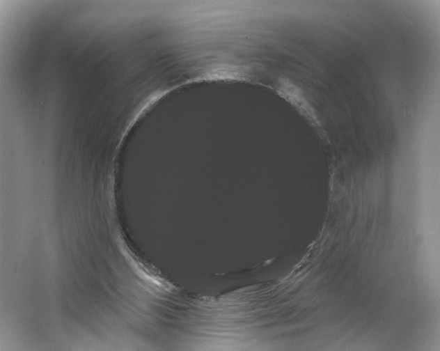 X0000066120108200603241620