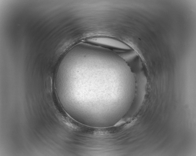 X0000066120109200603241620