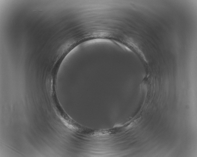 X0000066120110200603241620