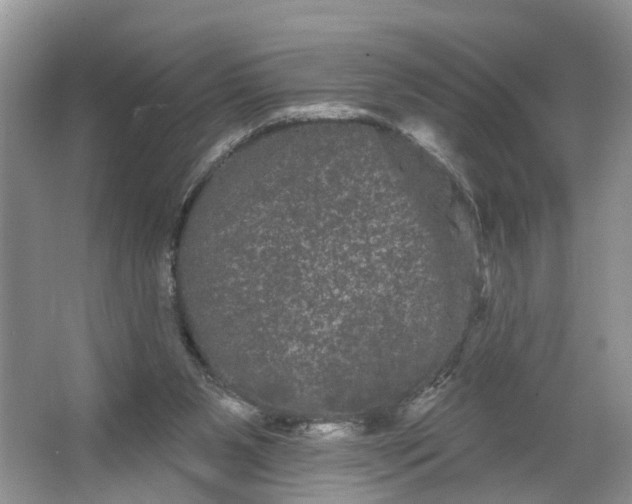 X0000066120111200603241620