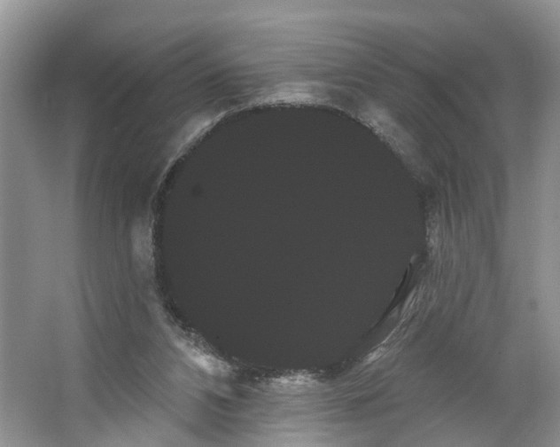 X0000066120112200603241620