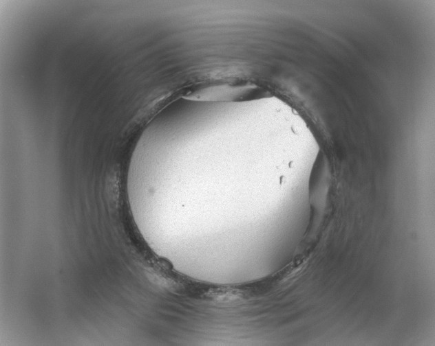 X0000066120113200603241620