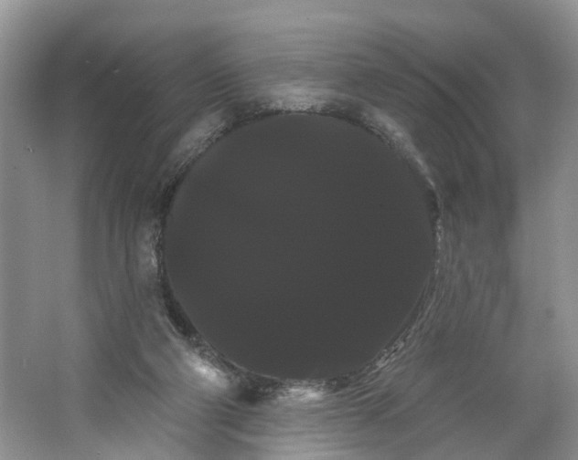 X0000066120114200603241620