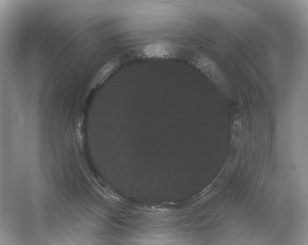 X0000066120116200603241620