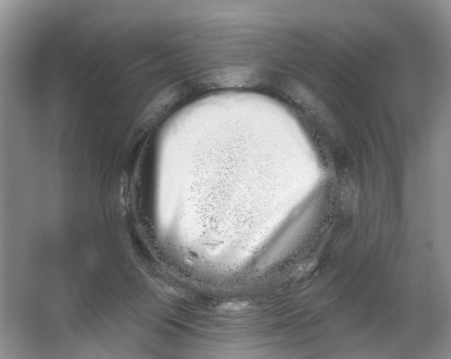 X0000066120119200603241620