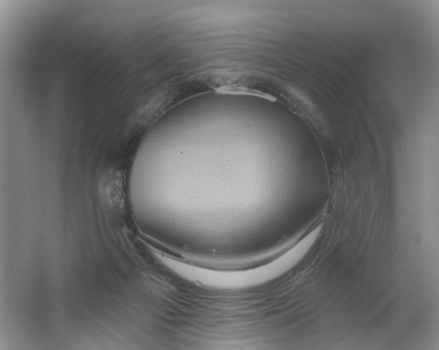 X0000066120121200603241620