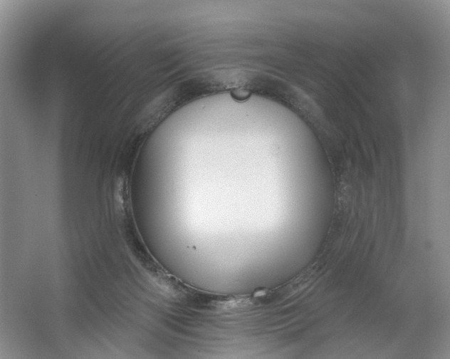 X0000066120122200603241620