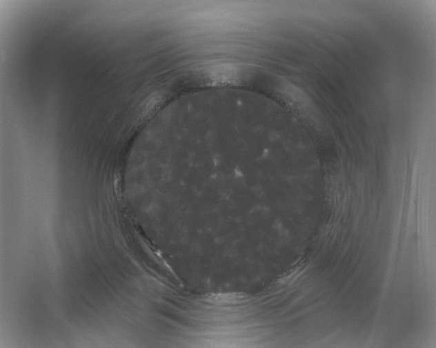 X0000066120123200603241620