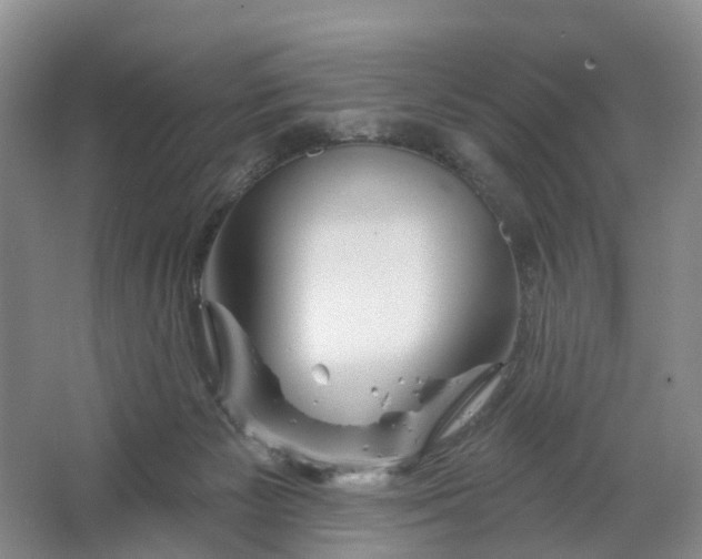 X0000066120125200603241620