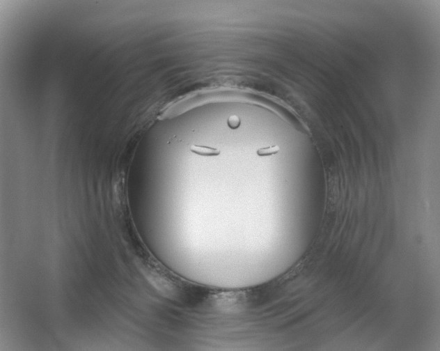 X0000066120126200603241620