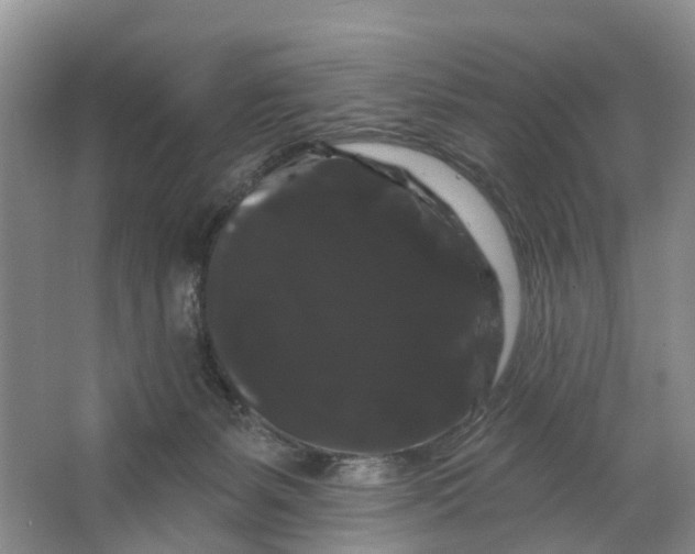 X0000066120127200603241620