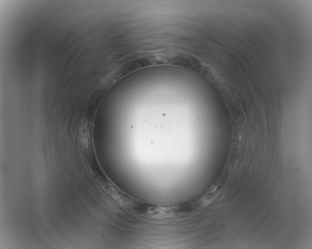 X0000066120129200603241620