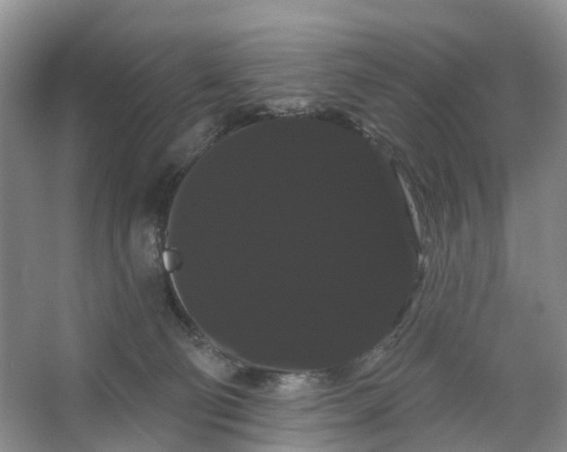 X0000066120130200603241620