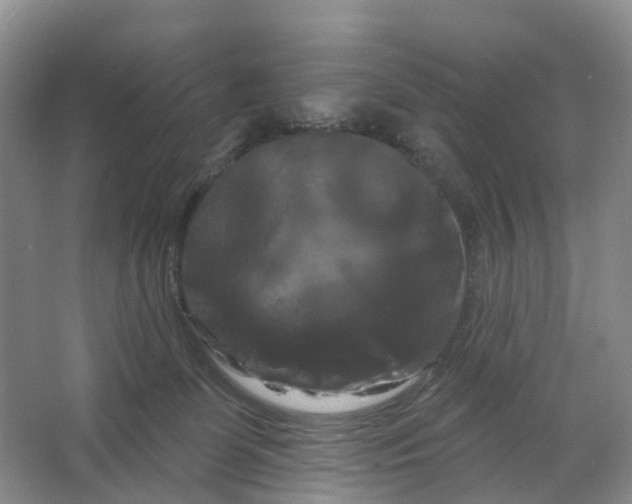 X0000066120131200603241620