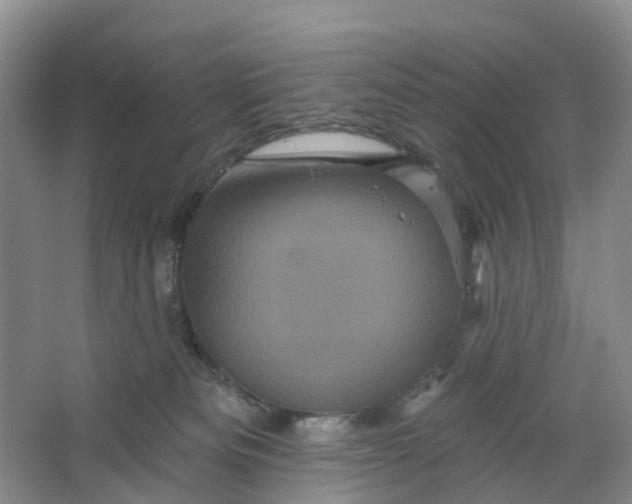 X0000066120133200603241620