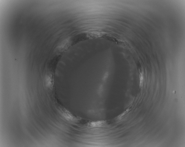 X0000066120134200603241620