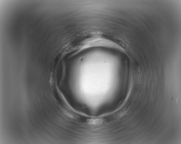 X0000066120135200603241620