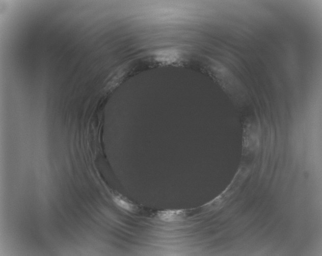 X0000066120136200603241620