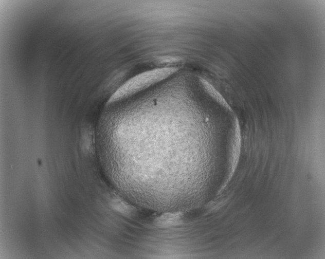 X0000066120138200603241620