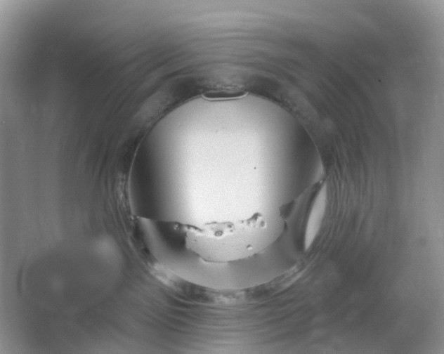 X0000066120141200603241620