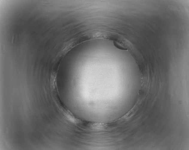 X0000066120142200603241620