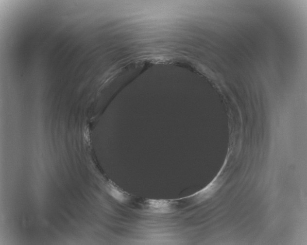 X0000066120144200603241620