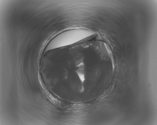 X0000066120145200603241619