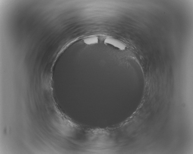 X0000066120146200603241619