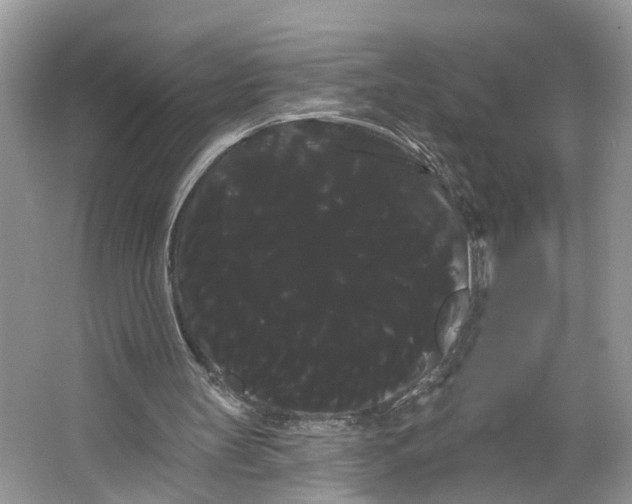 X0000066120147200603241619