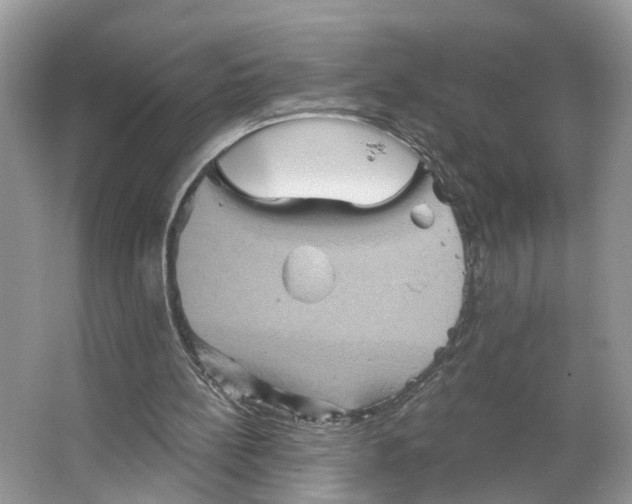 X0000066120148200603241619