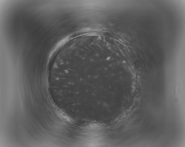 X0000066120149200603241619