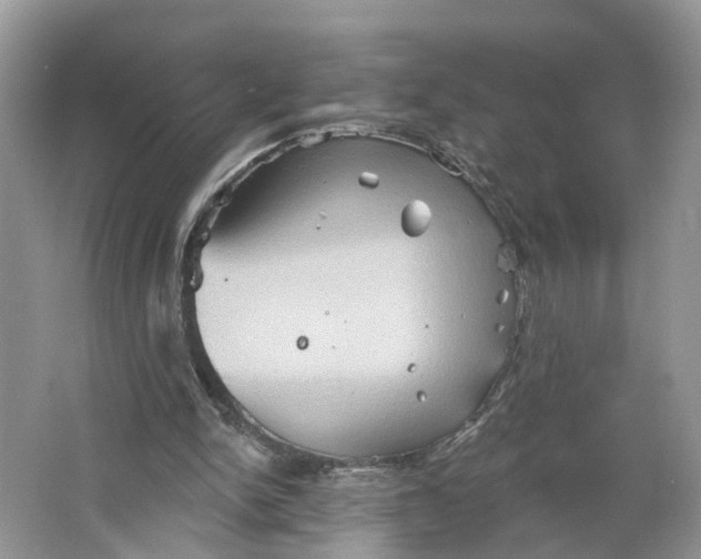 X0000066120150200603241619