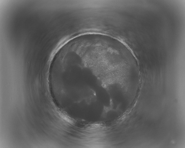 X0000066120151200603241619