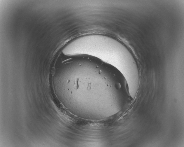 X0000066120154200603241619